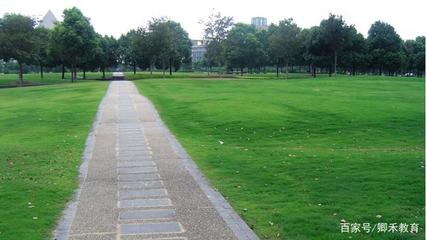 上海最美三所大学，景致与实力并存，考上学子皆不凡